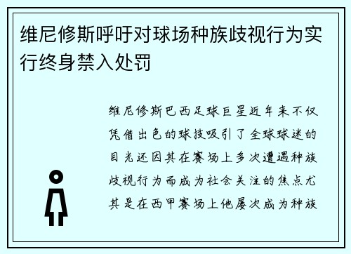 维尼修斯呼吁对球场种族歧视行为实行终身禁入处罚