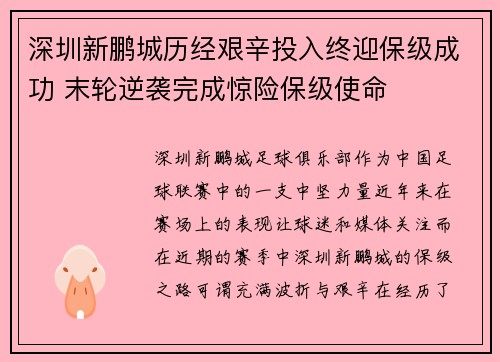 深圳新鹏城历经艰辛投入终迎保级成功 末轮逆袭完成惊险保级使命